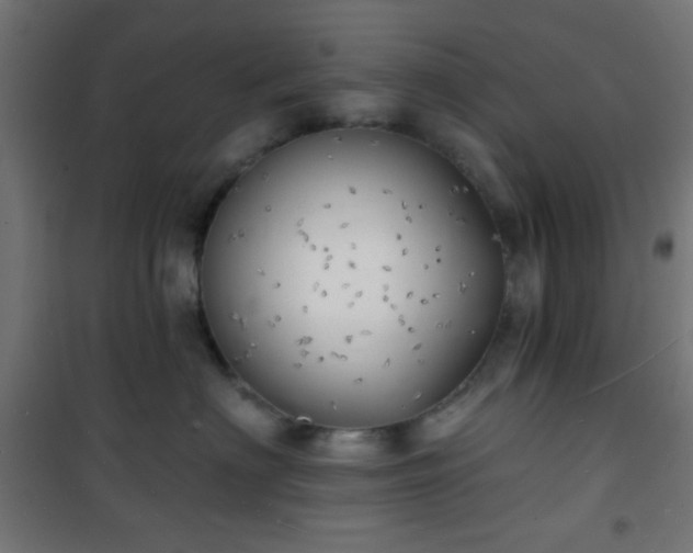 X0000101470622200807141352