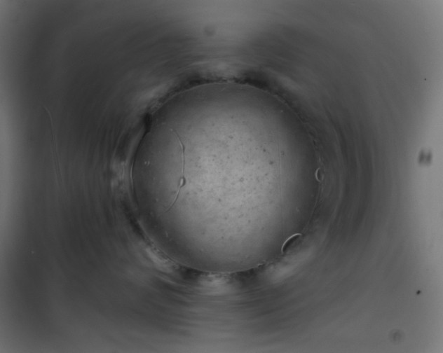 X0000101470624200807141352