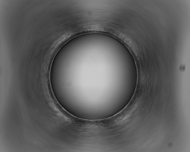 X0000101470625200807141351