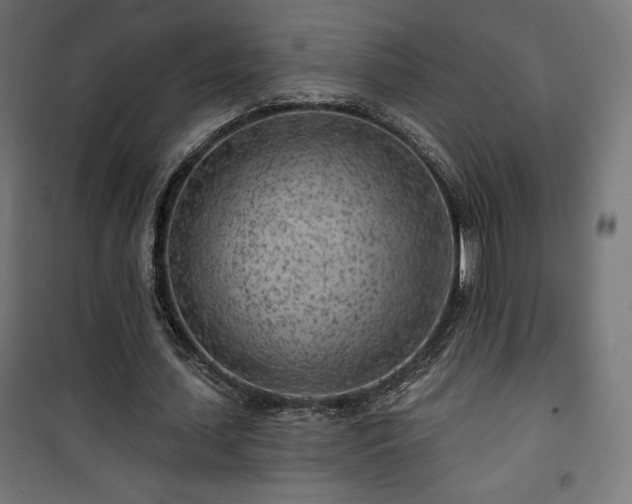 X0000101470627200807141351