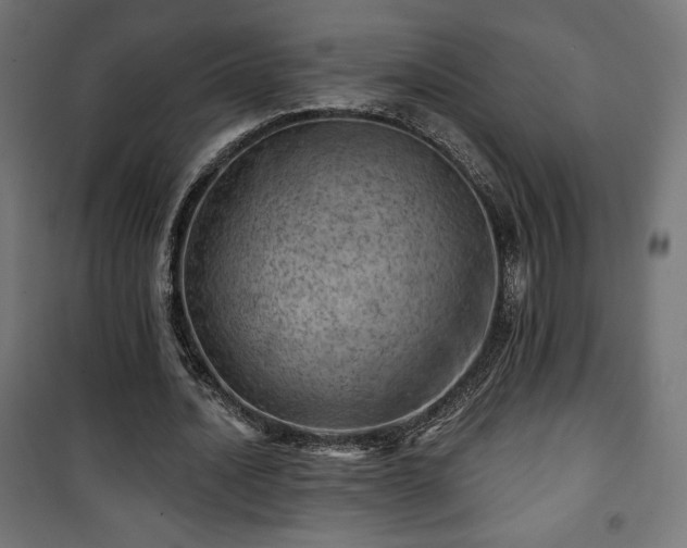 X0000101470628200807141351