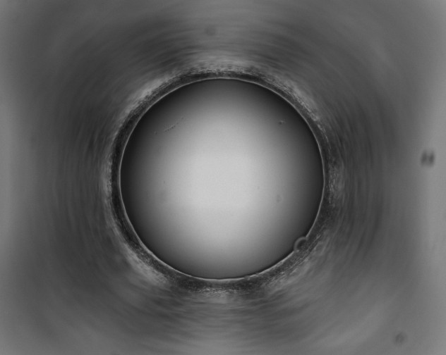 X0000101470629200807141351