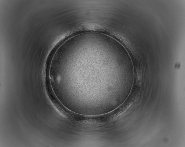 X0000101470630200807141351