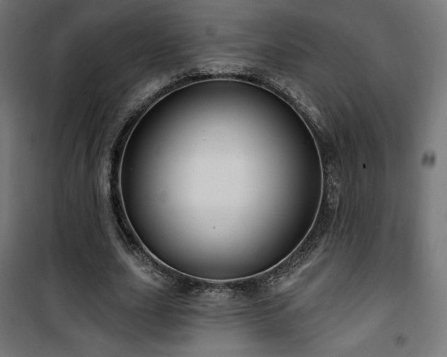 X0000101470631200807141351