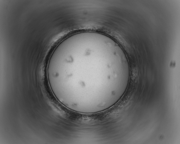 X0000101470632200807141352
