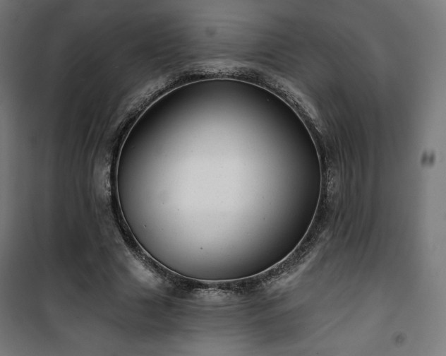 X0000101470633200807141352