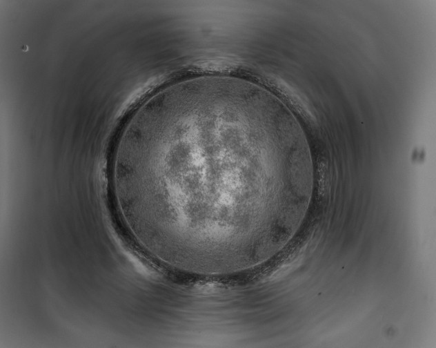 X0000101470634200807141352