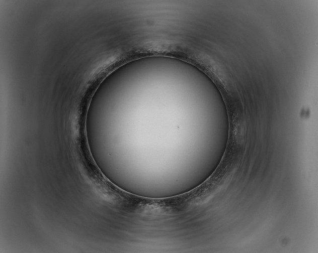 X0000101470635200807141352