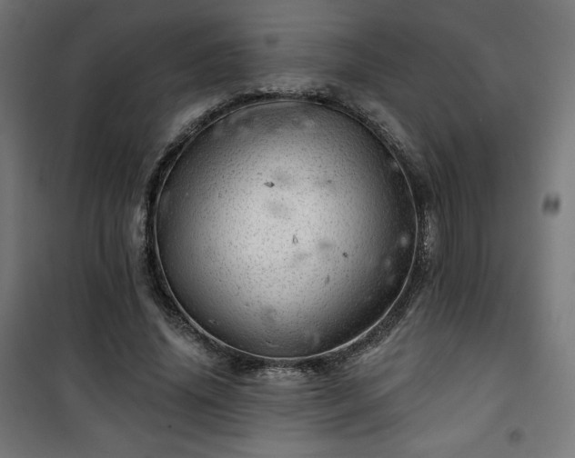X0000101470636200807141352