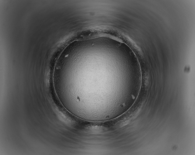 X0000101470637200807141352
