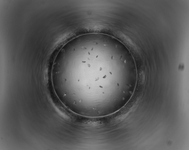X0000101470638200807141352