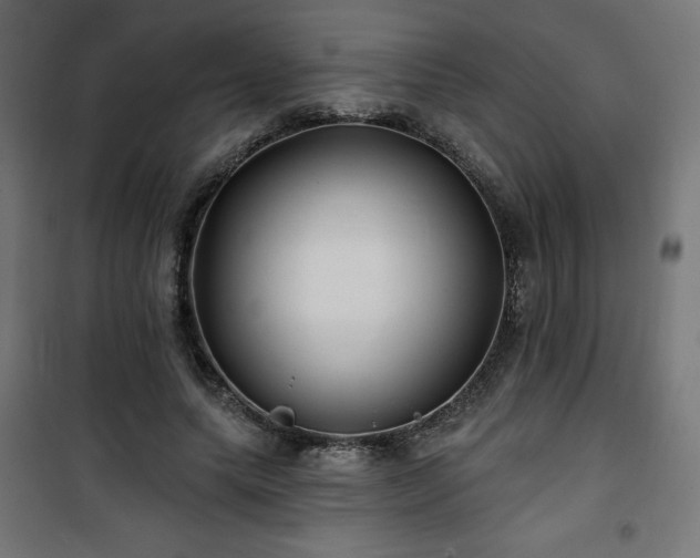 X0000101470639200807141352