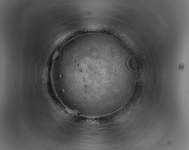 X0000101470640200807141352