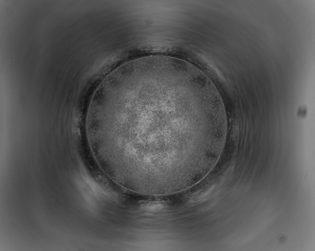 X0000101470643200807141352