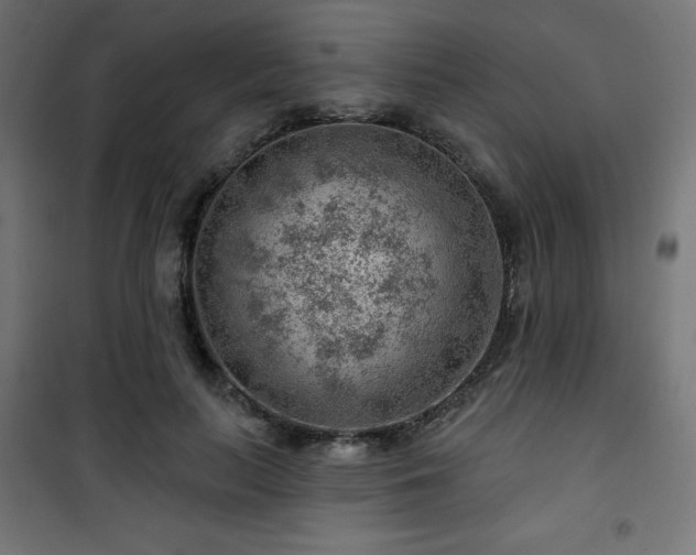 X0000101470647200807141352