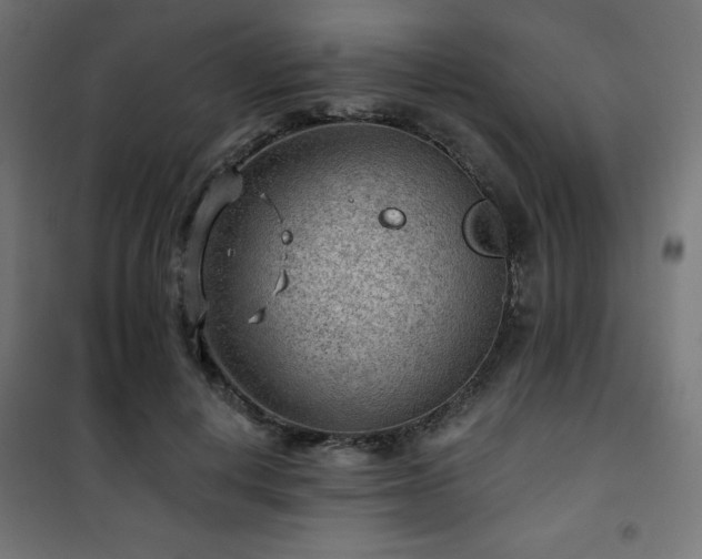 X0000101470648200807141352