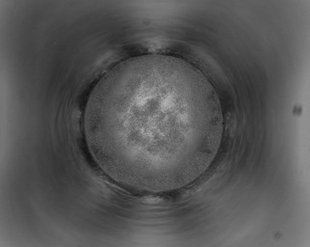 X0000101470650200807141352