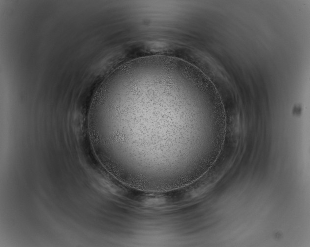 X0000101470653200807141352