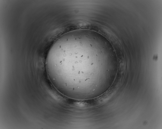 X0000101470654200807141352
