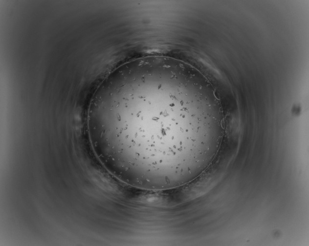 X0000101470655200807141352