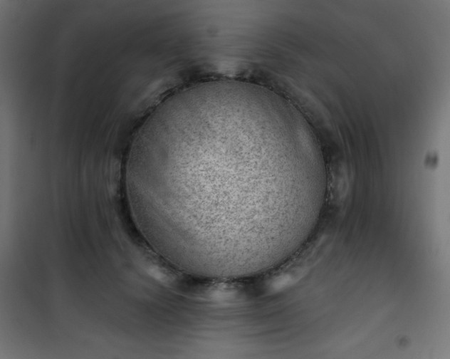 X0000101470656200807141352