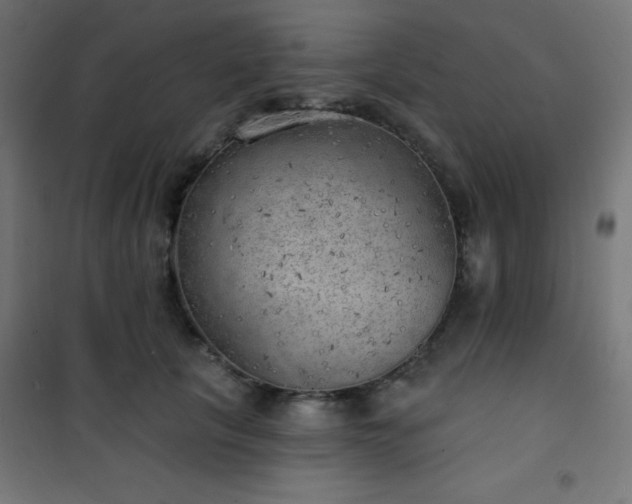 X0000101470657200807141352