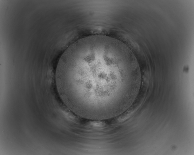 X0000101470659200807141352