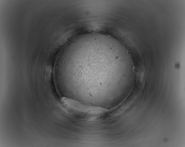 X0000101470660200807141352