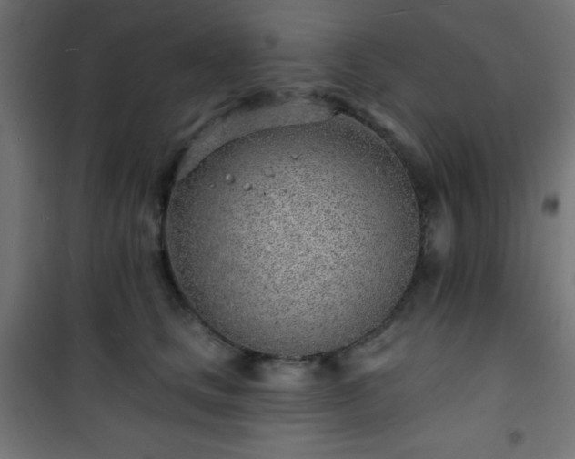 X0000101470661200807141352