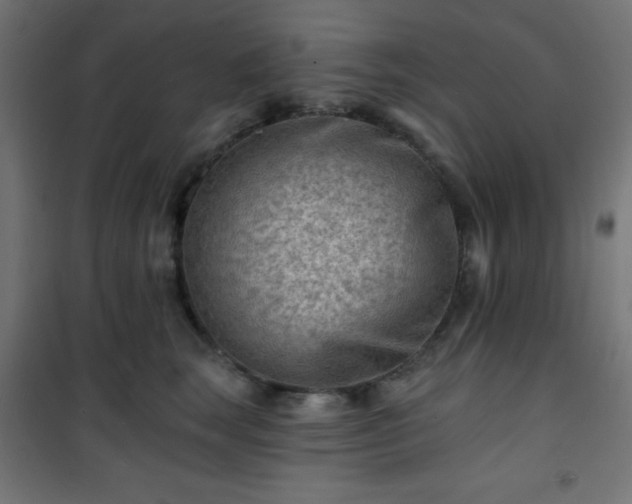 X0000101470663200807141352