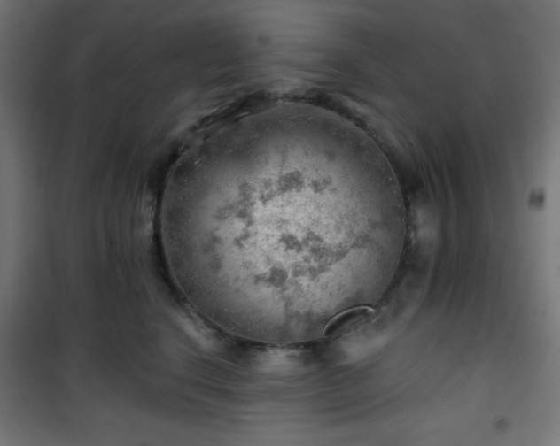 X0000101470664200807141352