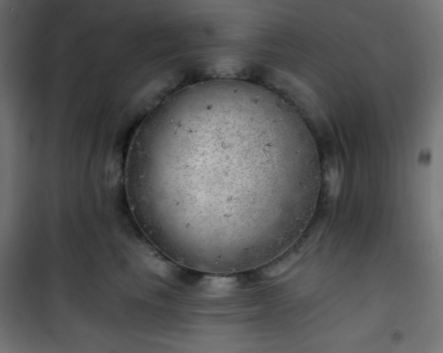 X0000101470665200807141352