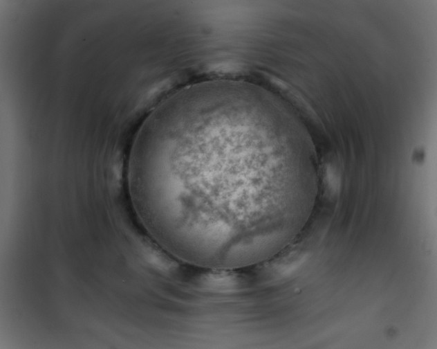 X0000101470668200807141352