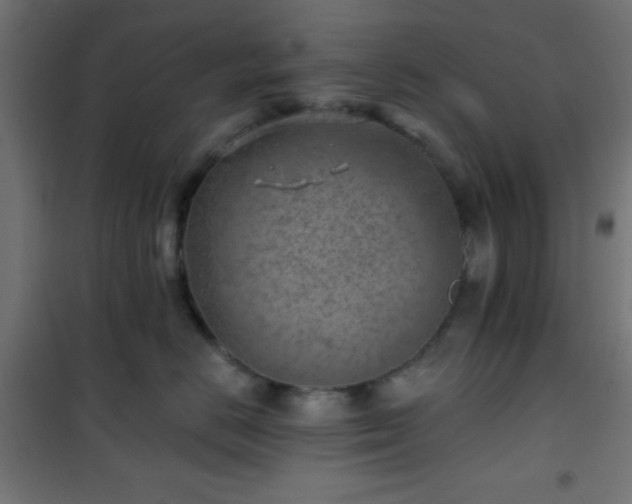 X0000101470670200807141352