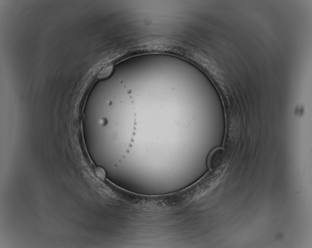 X0000101470673200807141351