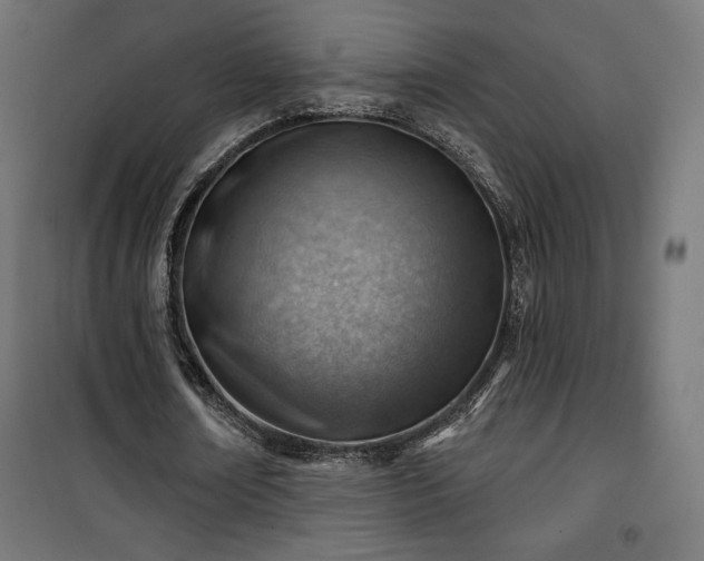 X0000101470674200807141351