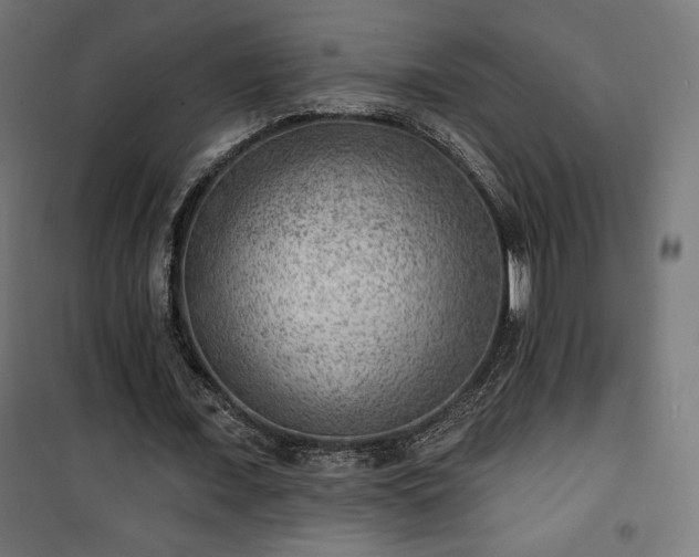 X0000101470675200807141351