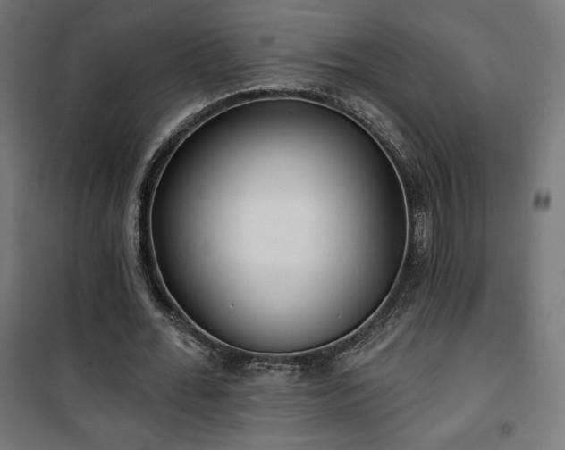 X0000101470676200807141351