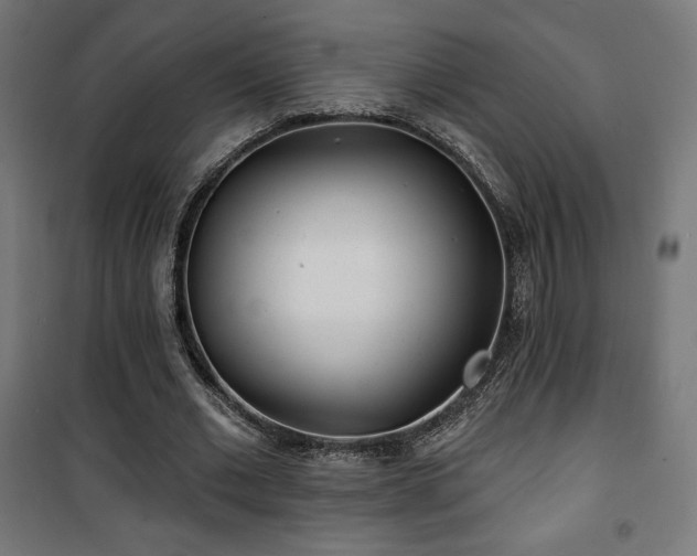 X0000101470677200807141351