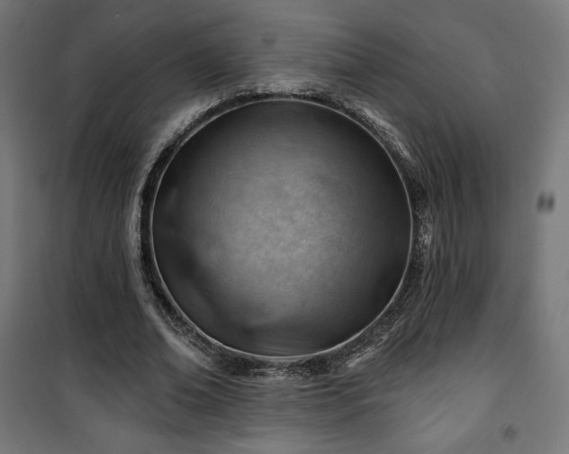 X0000101470678200807141351