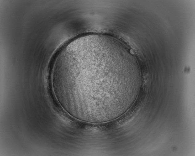 X0000101470679200807141351