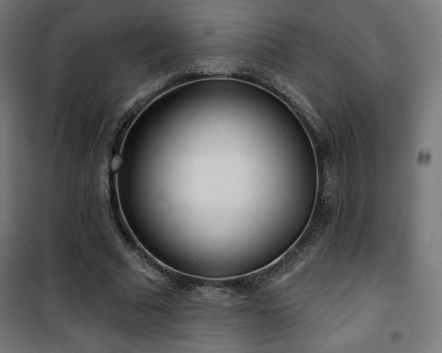 X0000101470681200807141351