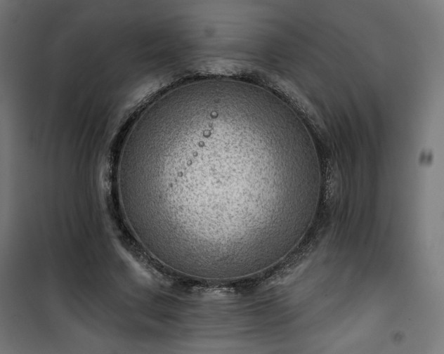 X0000101470683200807141351