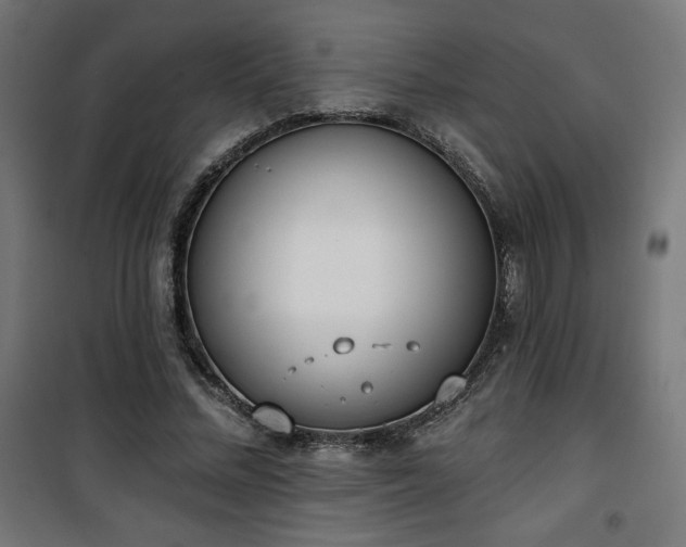 X0000101470684200807141351