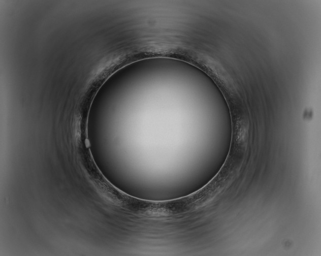 X0000101470685200807141351