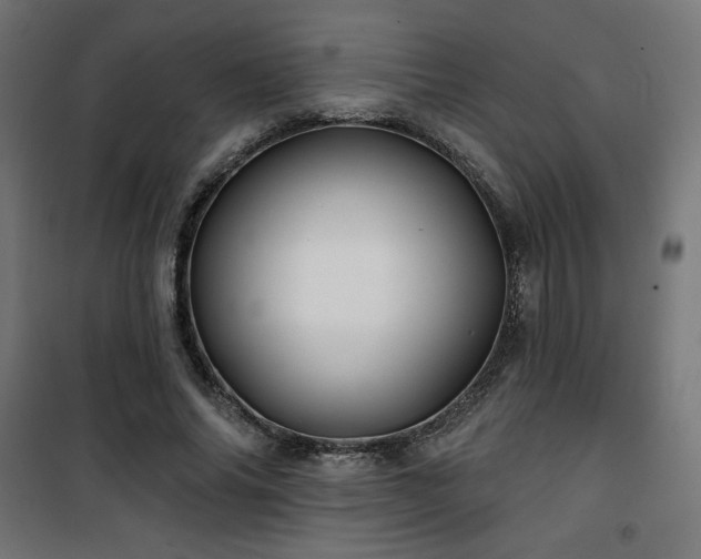 X0000101470686200807141351