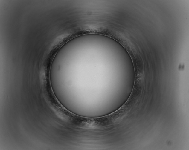 X0000101470688200807141351