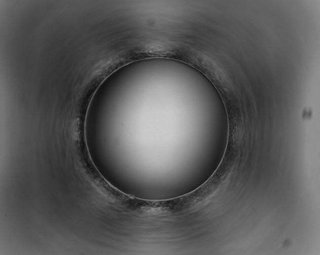 X0000101470689200807141351