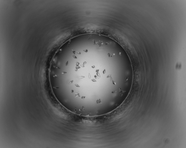X0000101470690200807141351