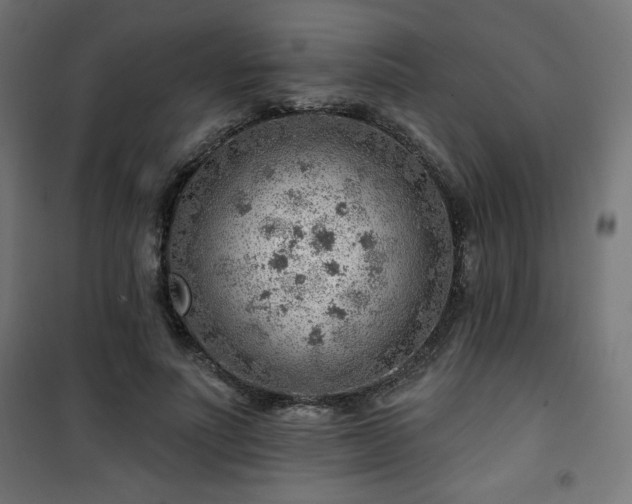 X0000101470691200807141351